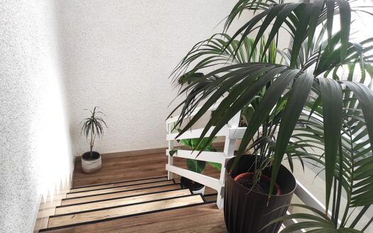 Cingoli Immobiliare RIF. 949 CASALE PANORAMICO RISTRUTTURATO CON PISCINA E TERRENO