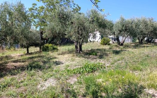 Cingoli Immobiliare RIF. 949 CASALE PANORAMICO RISTRUTTURATO CON PISCINA E TERRENO