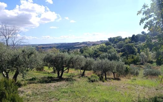 Cingoli Immobiliare RIF. 949 CASALE PANORAMICO RISTRUTTURATO CON PISCINA E TERRENO