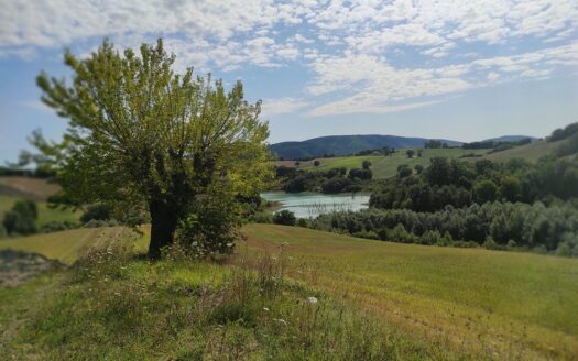 Cingoli Immobiliare RIF. 948 RUSTICO VISTA LAGO