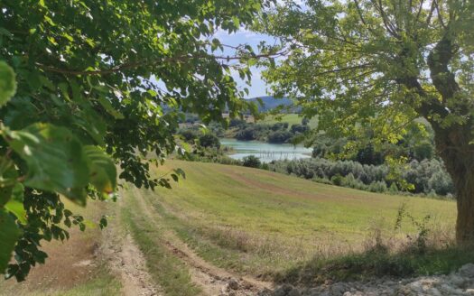 Cingoli Immobiliare RIF. 948 RUSTICO VISTA LAGO