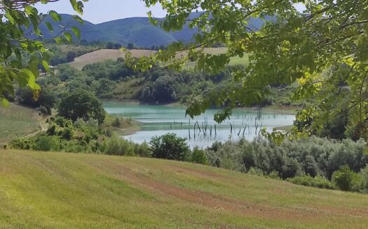 Cingoli Immobiliare RIF. 948 RUSTICO VISTA LAGO