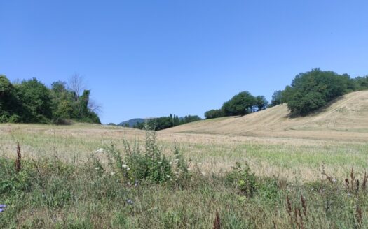 Cingoli Immobiliare RIF. 948 RUSTICO VISTA LAGO