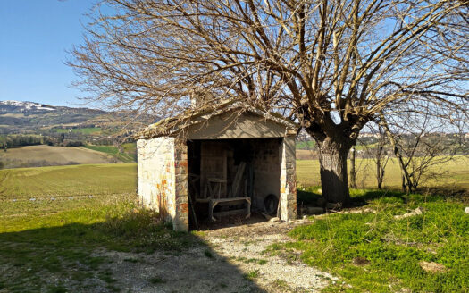 RIF. 761 Casolare Panoramico da Ristrutturare