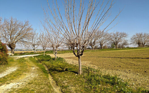 RIF. 761 Casolare Panoramico da Ristrutturare