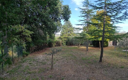 RIF. 954 CASALE ESCLUSIVO CON PARCO PRIVATO