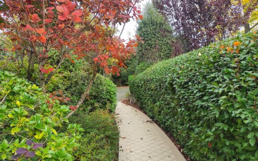 RIF. 954 Dimora di Prestigio con Dependance e Piscina: un’oasi di charme e comfort.