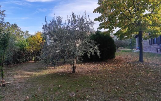 RIF. 954 CASALE ESCLUSIVO CON PARCO PRIVATO