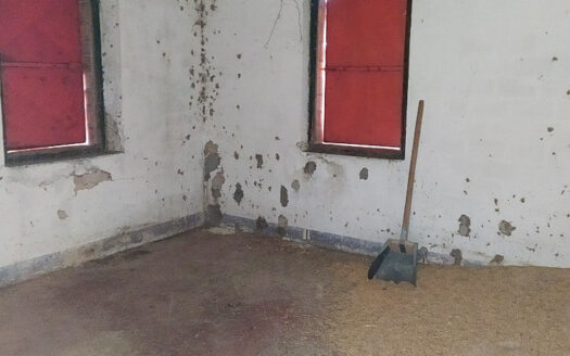 RIF. 761 Casolare Panoramico da Ristrutturare