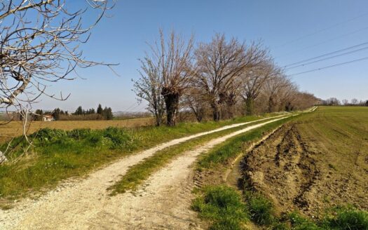 RIF. 761 Casolare Panoramico da Ristrutturare