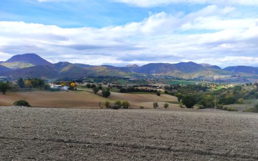 RIF. 954 Dimora di Prestigio con Dependance e Piscina: un’oasi di charme e comfort.