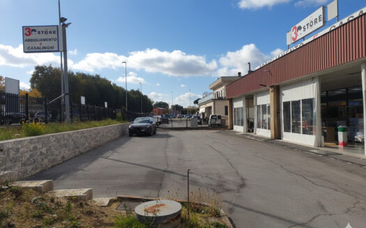 RIF. 966 Opportunità Direzionale a San Severino Marche: 2.100 mq di Spazio Espositivo e Logistico con Ampia Corte Privata