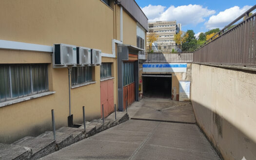 RIF. 966 Opportunità Direzionale a San Severino Marche: 2.100 mq di Spazio Espositivo e Logistico con Ampia Corte Privata