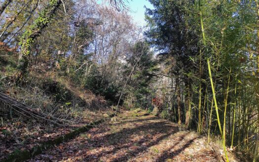 RIF. 964 CASA INDIPENDENTE A 2 KM DAL CENTRO