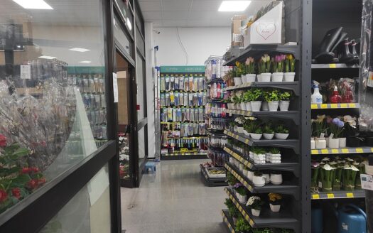 RIF. 966 Opportunità Direzionale a San Severino Marche: 2.100 mq di Spazio Espositivo e Logistico con Ampia Corte Privata