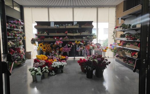 RIF. 966 Opportunità Direzionale a San Severino Marche: 2.100 mq di Spazio Espositivo e Logistico con Ampia Corte Privata