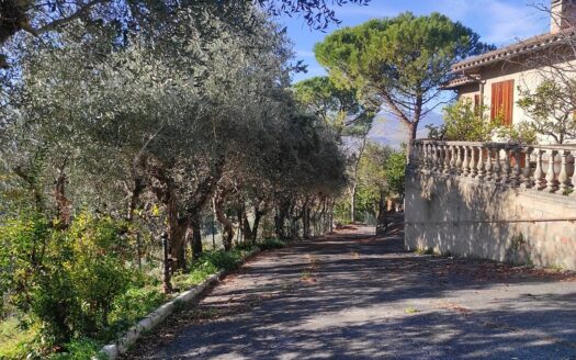 Cingoli Immobiliare RIF. 973 Prestigiosa Proprietà Panoramica a Pollenza (MC)