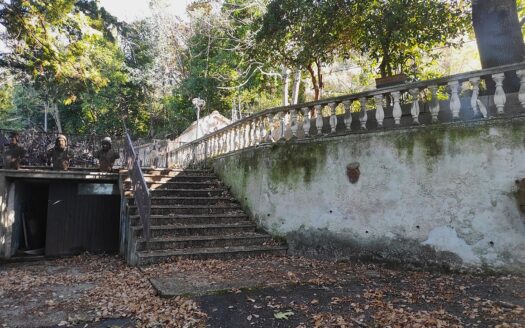 Cingoli Immobiliare RIF. 973 Prestigiosa Proprietà Panoramica a Pollenza (MC)