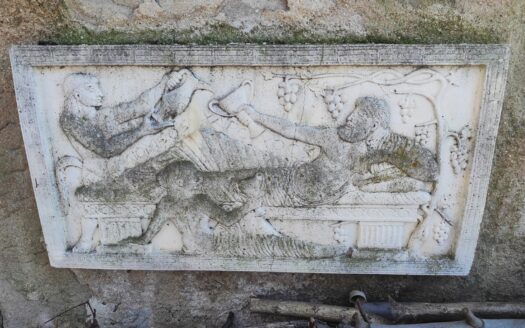 Cingoli Immobiliare RIF. 973 Prestigiosa Proprietà Panoramica a Pollenza (MC)