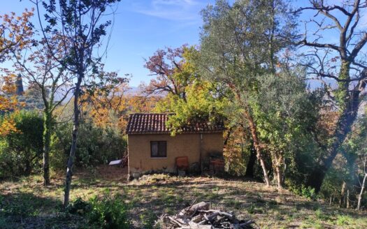 Cingoli Immobiliare RIF. 973 Prestigiosa Proprietà Panoramica a Pollenza (MC)