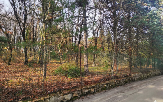 RIF. 970 LOTTO EDIFICABILE A SAN GIUSEPPE