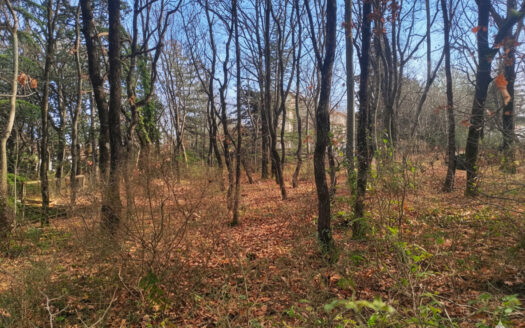 RIF. 970 LOTTO EDIFICABILE A SAN GIUSEPPE