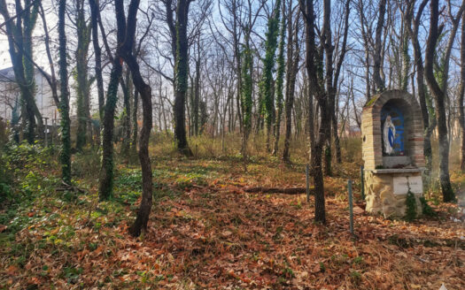 RIF. 970 LOTTO EDIFICABILE A SAN GIUSEPPE