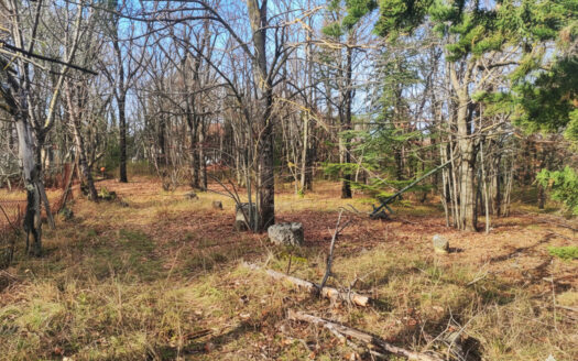 RIF. 970 LOTTO EDIFICABILE A SAN GIUSEPPE