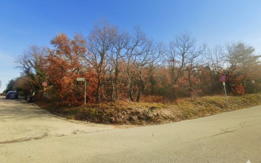 RIF. 971 Cingoli, San Giuseppe: il terreno ideale per la tua Villa con Parco!
