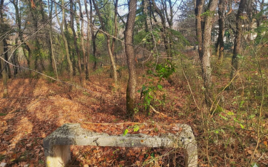 RIF. 970 LOTTO EDIFICABILE A SAN GIUSEPPE