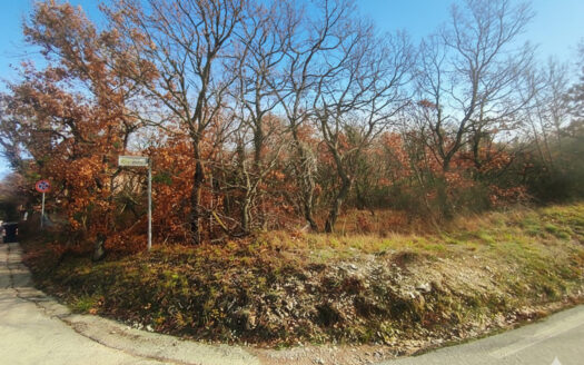 RIF. 971 Cingoli, San Giuseppe: il terreno ideale per la tua Villa con Parco!