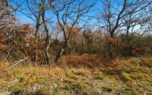 RIF. 971 Cingoli, San Giuseppe: il terreno ideale per la tua Villa con Parco!