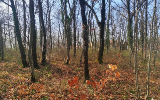 RIF. 970 LOTTO EDIFICABILE A SAN GIUSEPPE