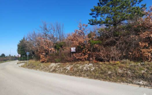 RIF. 971 Cingoli, San Giuseppe: il terreno ideale per la tua Villa con Parco!