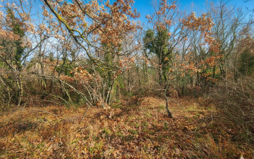 RIF. 971 Cingoli, San Giuseppe: il terreno ideale per la tua Villa con Parco!