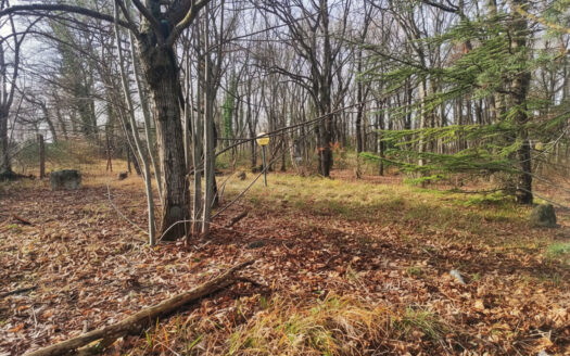 RIF. 970 LOTTO EDIFICABILE A SAN GIUSEPPE