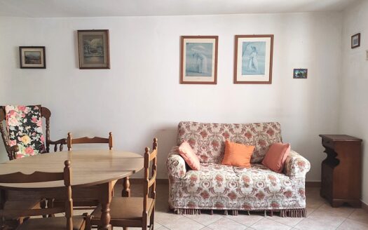 RIF. 972 SOLUZIONE INDIPENDENTE IN CENTRO STORICO