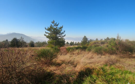 RIF. 971 Cingoli, San Giuseppe: il terreno ideale per la tua Villa con Parco!