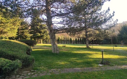 RIF. 975 PRESTIGIOSA VILLA IN PIETRA CON PARCO PRIVATO – SAN SEVERINO MARCHE-