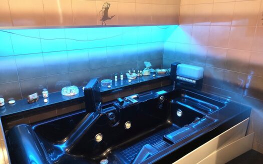 RIF. 975 PRESTIGIOSA VILLA IN PIETRA CON PARCO PRIVATO – SAN SEVERINO MARCHE-