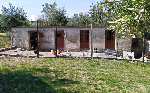 Cingoli Immobiliare RIF. 749 CASA INDIPENDETE VICINANZE JESI