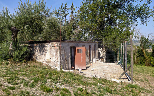 Cingoli Immobiliare RIF. 749 CASA INDIPENDETE VICINANZE JESI