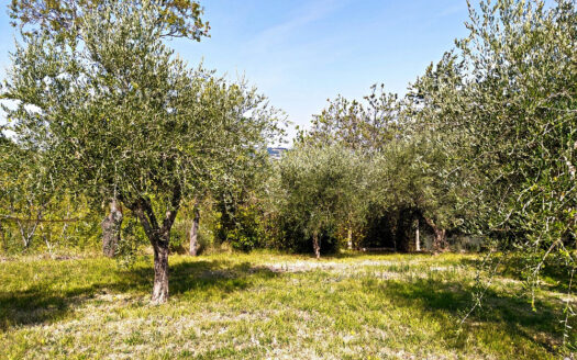 Cingoli Immobiliare RIF. 749 CASA INDIPENDETE VICINANZE JESI