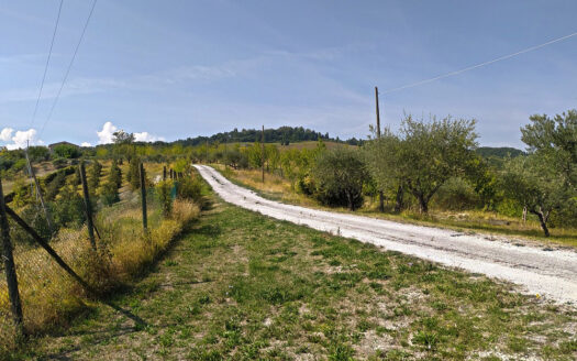 Cingoli Immobiliare RIF. 749 CASA INDIPENDETE VICINANZE JESI