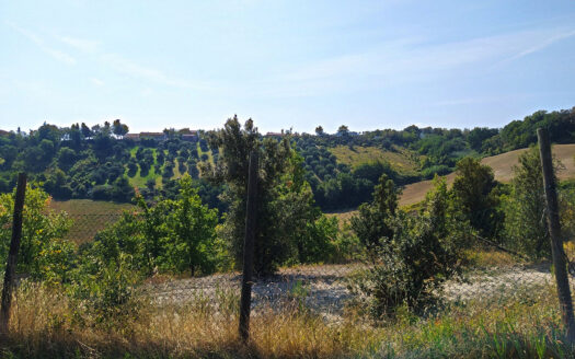 Cingoli Immobiliare RIF. 749 CASA INDIPENDETE VICINANZE JESI