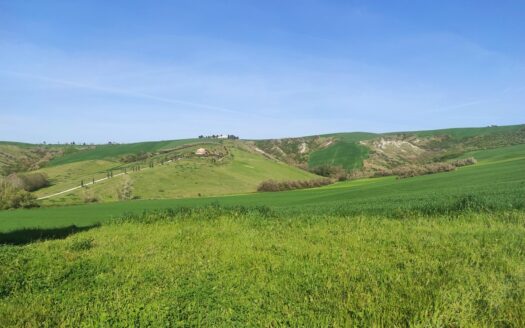 Cingoli Immobiliare RIF. 977 CASALE TRA LE COLLINE DI STAFFOLO!