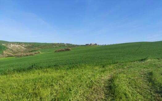 Cingoli Immobiliare RIF. 977 CASALE TRA LE COLLINE DI STAFFOLO!