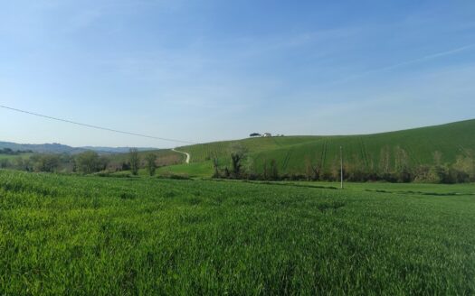 Cingoli Immobiliare RIF. 977 CASALE TRA LE COLLINE DI STAFFOLO!