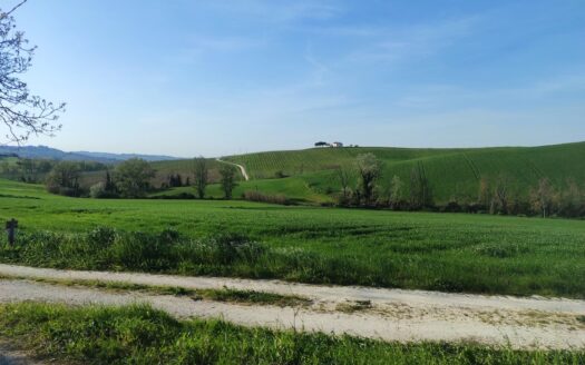 Cingoli Immobiliare RIF. 977 CASALE TRA LE COLLINE DI STAFFOLO!