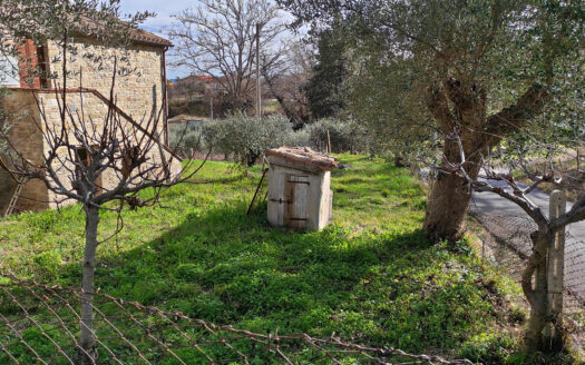 Cingoli Immobiliare RIF. 865 CIELO-TERRA INDIPENDENTE NEL “BORGO DEI BORGHI 2026”